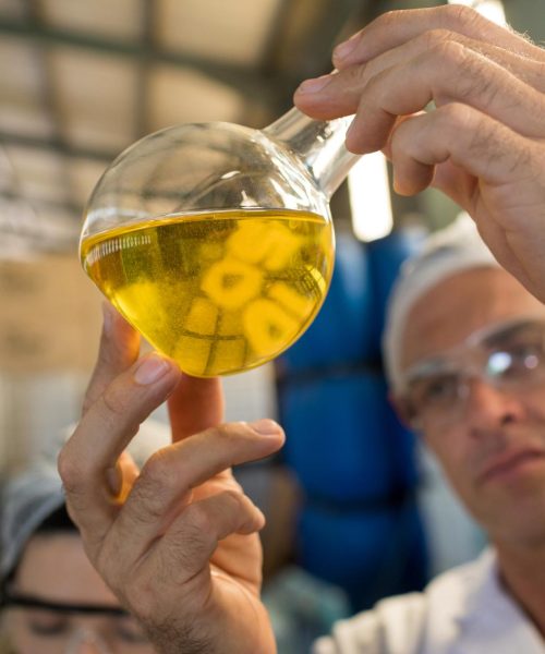 technician examining olive oil 2021 08 28 16 46 16 utc.jpg